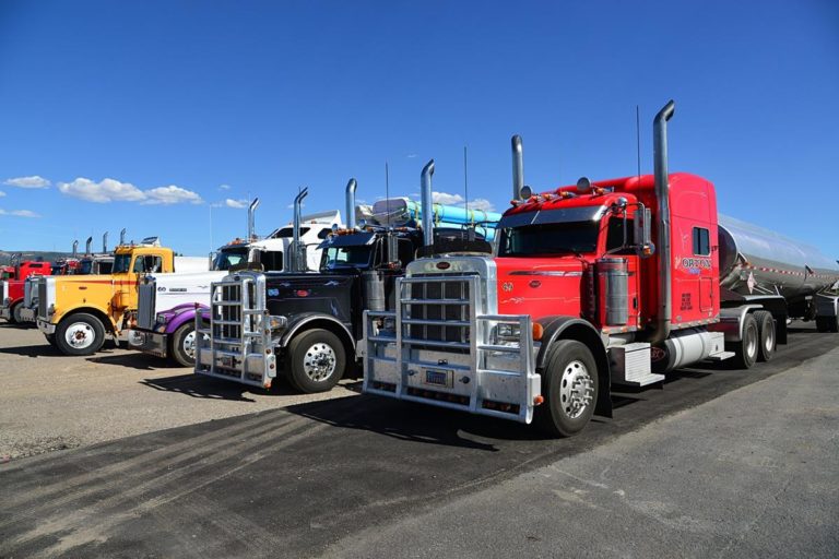 Samochody ciężarowe i dostawcze DAF