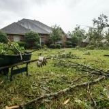 Połamane gałęzie na trawniku po silnej wichurze, przygotowane do sprzątania